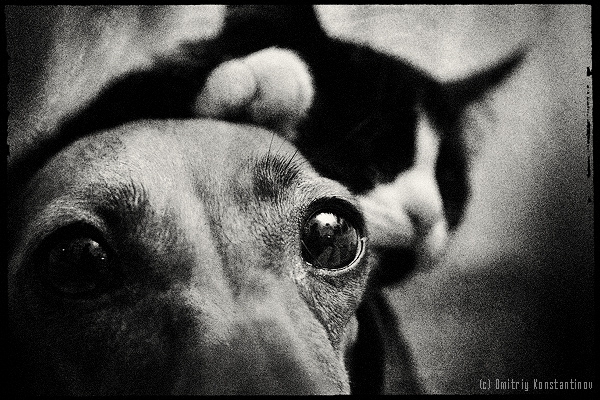 Семинар по студийному свету