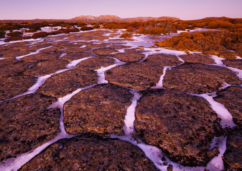 «Долеритовые многоугольники» Грант Диксон