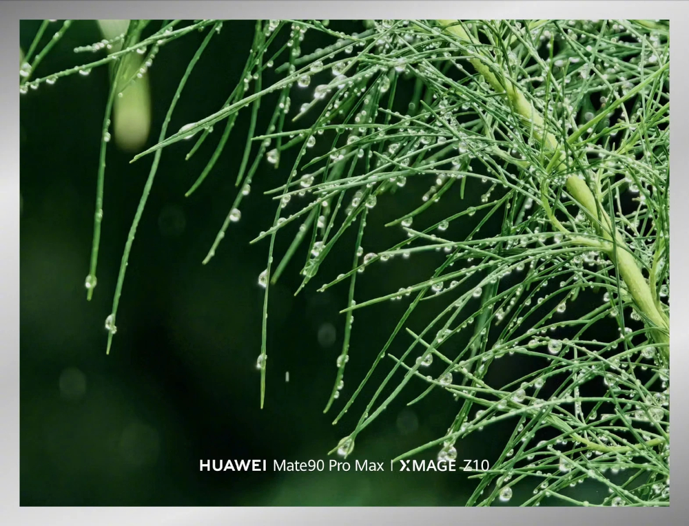 Huawei Ruiying Z10