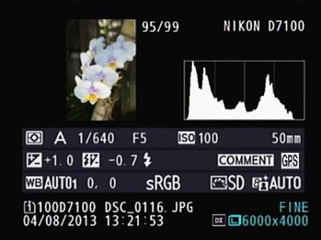 Классическая гистограмма на Nikon D7100