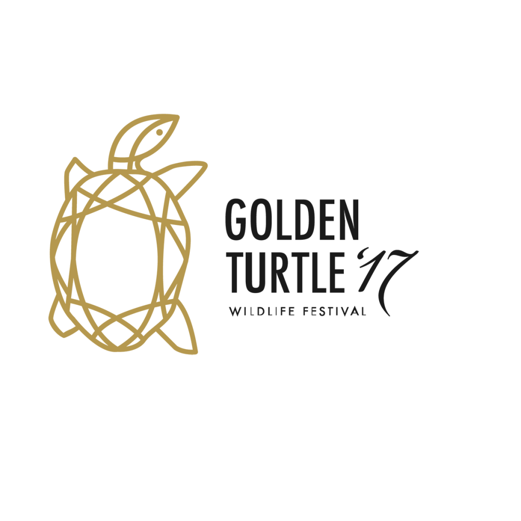 фестиваль Золотая черепаха