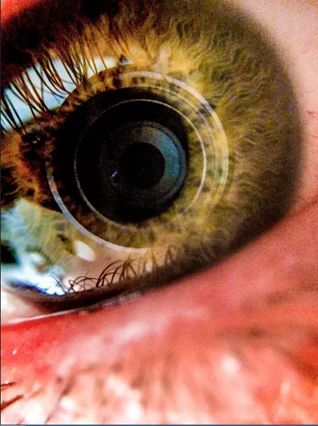 Работает ли человеческий глаз как фотокамера?