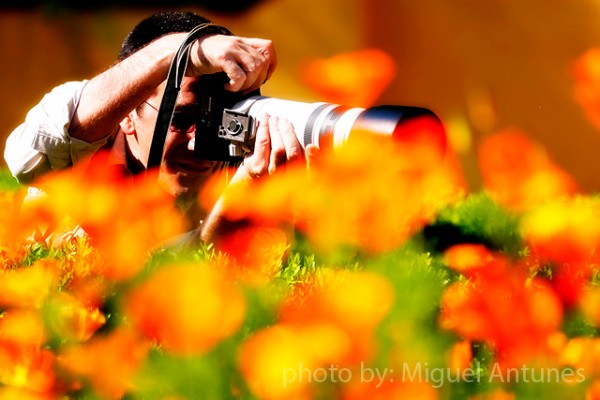 Я и мой любимый объектив для цветочных фотографий 