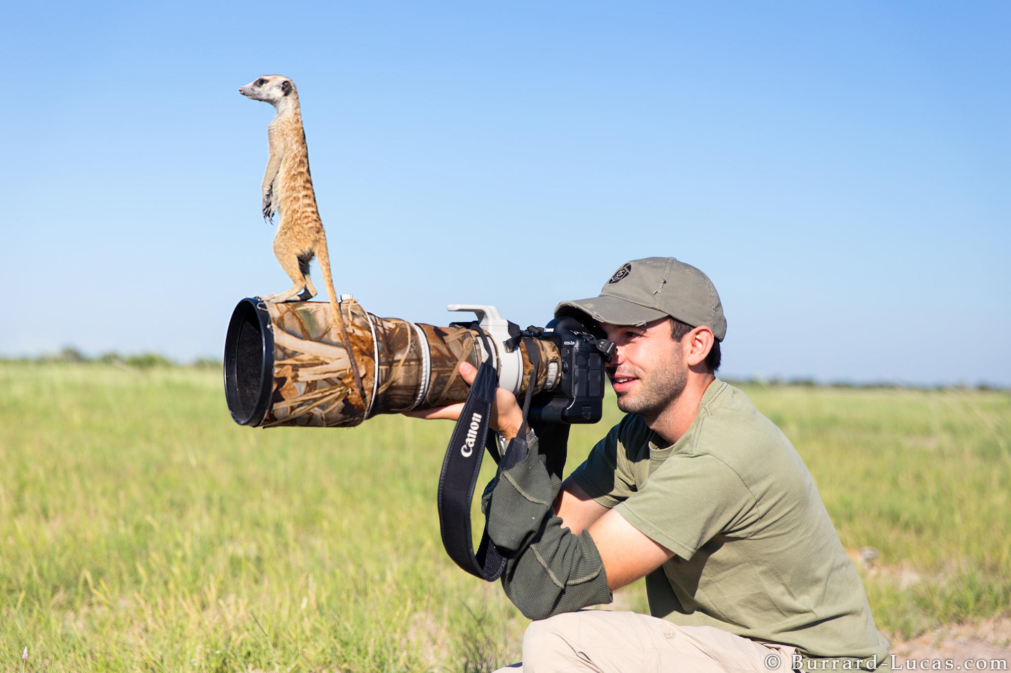 by Will Burrard-Lucas