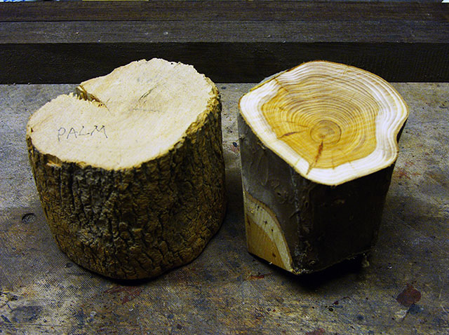 выбор древесины для деревянного объектива